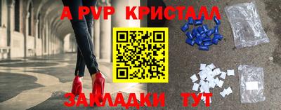 соль ск Бийск
