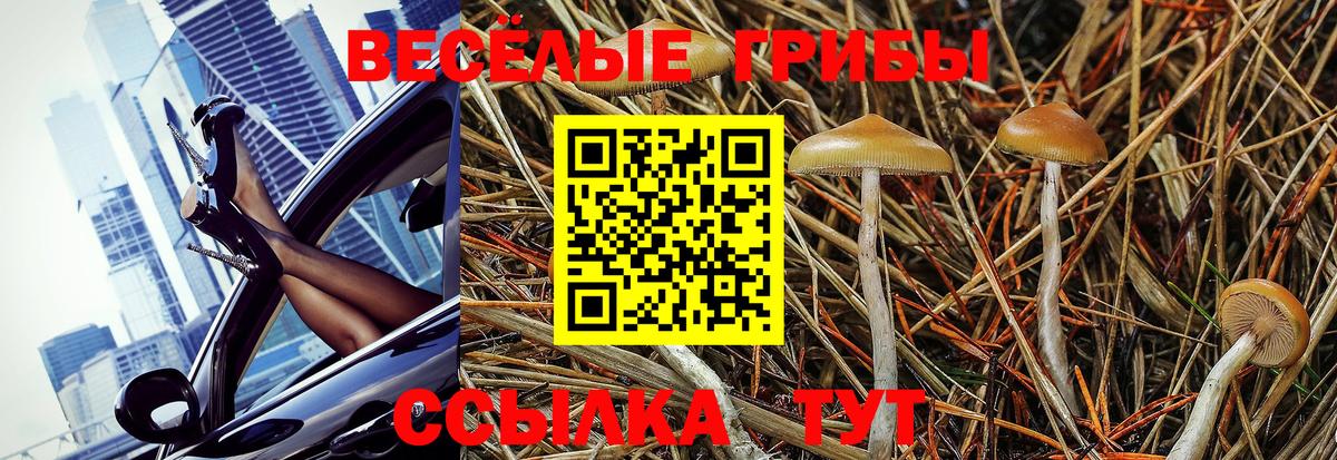 Кетамин  Каменка  COCAIN  НБОМе  Мефедрон   Каннабис  Гашиш  Вход с VPN  Гашиш 