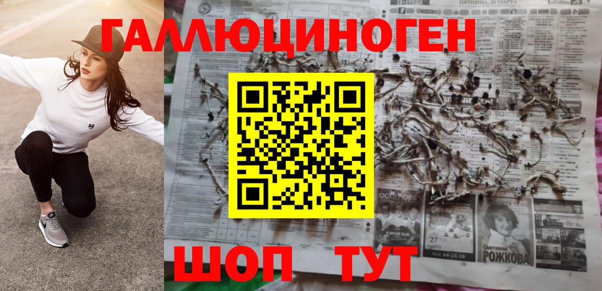 Каменка  продажа наркотиков  Галлюциногенные грибы MAGIC MUSHROOMS  Вход с VPN  Галлюциногенные грибы Magic Shrooms 