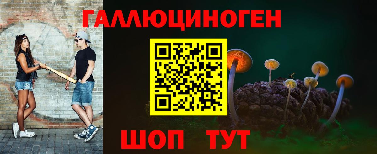 Псилоцибиновые грибы Psilocybine cubensis Каменка